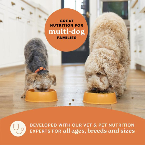 Canidae Dog All Life Stages Dry Dog Food, Real Salmon & Ancient Grains Recipe 三文魚+原始穀物配方 27lb (原價$720) (1327K) (訂貨需時3-5天)